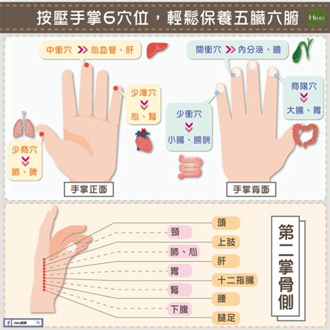 手指代表器官|按壓手掌6穴位，輕鬆保養五臟六腑